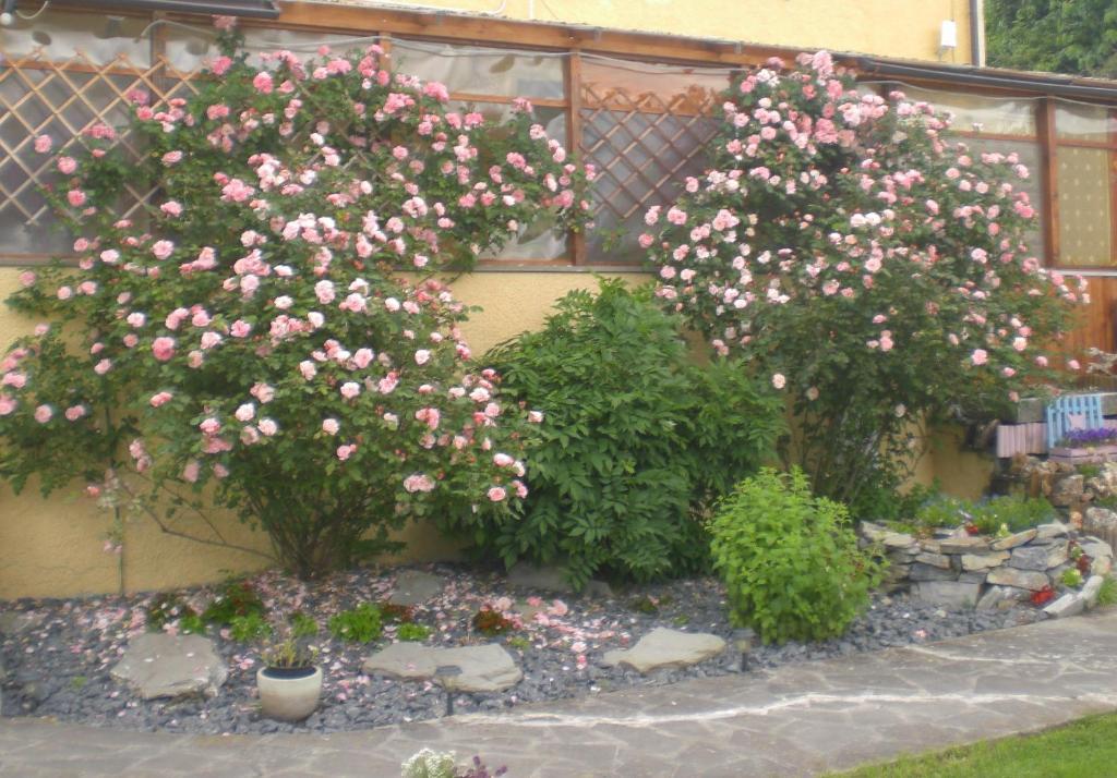 Il Giardino Degli Angeli Bed & Breakfast Framura Dış mekan fotoğraf