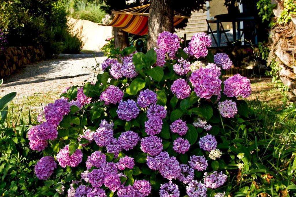 Il Giardino Degli Angeli Bed & Breakfast Framura Dış mekan fotoğraf