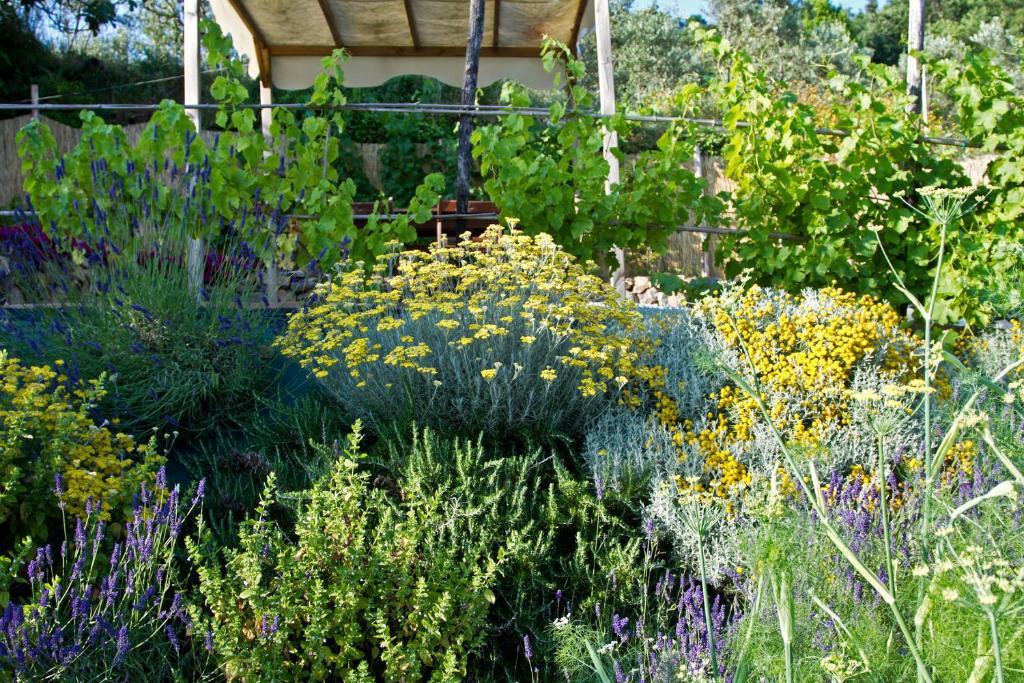 Il Giardino Degli Angeli Bed & Breakfast Framura Dış mekan fotoğraf