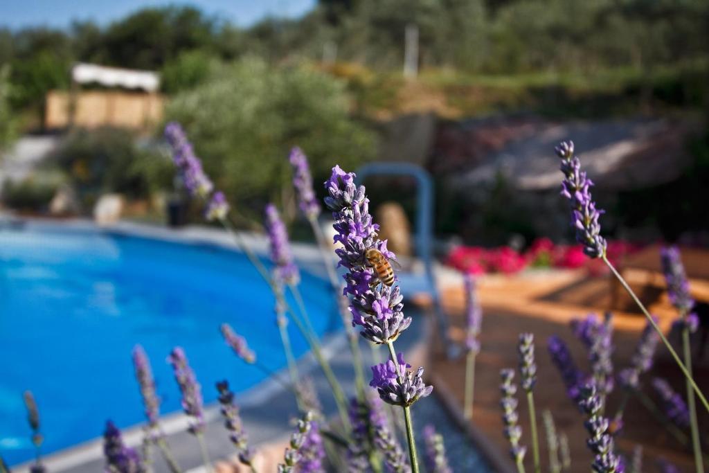 Il Giardino Degli Angeli Bed & Breakfast Framura Dış mekan fotoğraf