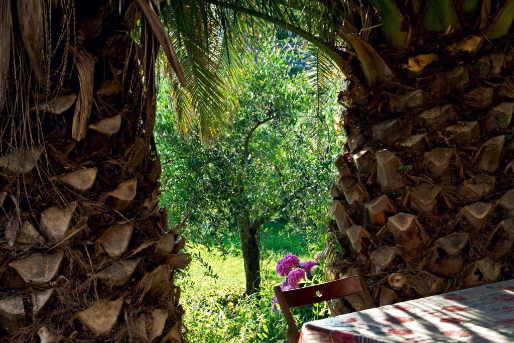 Il Giardino Degli Angeli Bed & Breakfast Framura Dış mekan fotoğraf